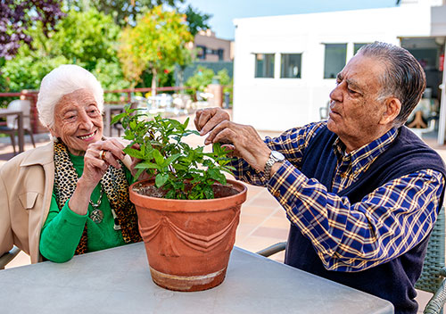 Sagora | Seniors tending to a garden plant